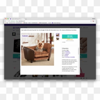 Product Listings Best Practices - Sofa Para Yorkshire Clipart
