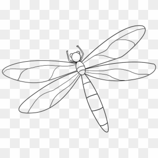 Picture Transparent Download Easy Drawing Guides On - Dragonfly Clipart