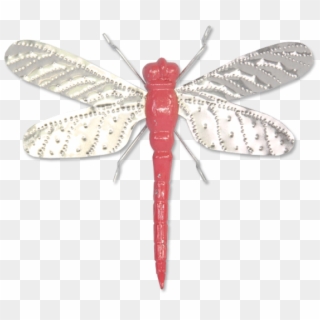 600 X 600 11 0 - Dragonfly Clipart
