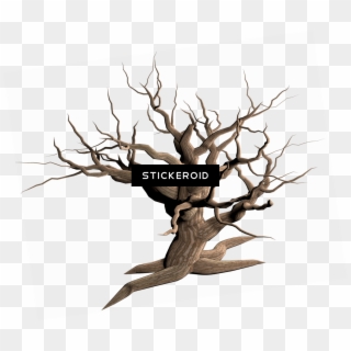 Tree Dead Branches - Dead Tree Transparent Background Clipart