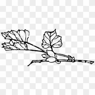 With Flower Png - Transparent Plant Outlines Clipart