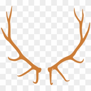 Antlers Png For Kids - Bull Elk European Mount Clipart