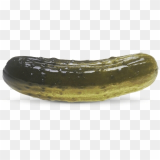 1200px-pickle - Pickle With Transparent Background Clipart