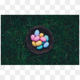 50036 Bright Nest - Lol Dolls Easter Eggs Clipart
