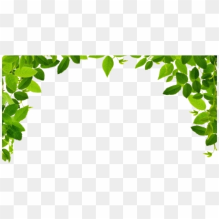 Jungle Vines Png - Leaves Border Clipart Png Transparent Png