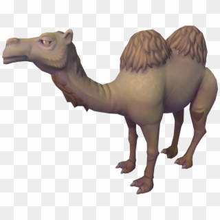Arabian Camel Clipart