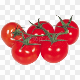 Free Png Download Red Tomatoes Png Images Background - Клипарт Помидоры Clipart
