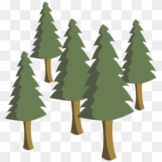 Trees Pines Pine Trees Tree Png Image - Pine Trees Illustration Png Clipart