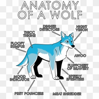Anatomy Of A Wolf - Dog Clipart
