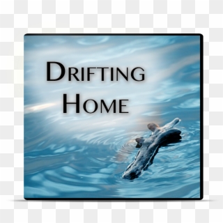 Piece Of Driftwood In Water , Png Download - Floating Driftwood Clipart