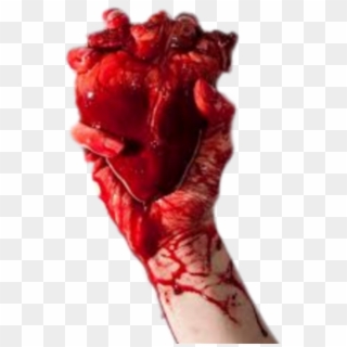 #humanheart #hand #handholding #blood #heart - Real Heart Of Human Clipart