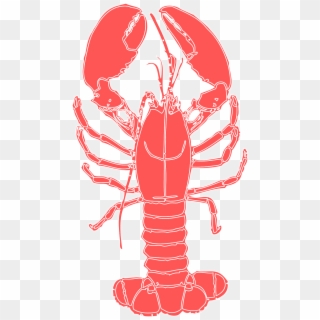 Lobster Crustacean Crab Crayfish Png Image - Lobster Clipart Transparent Png