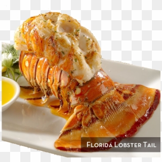 Florida Lobster Tail 1 3 - Florida Lobster Tail Clipart
