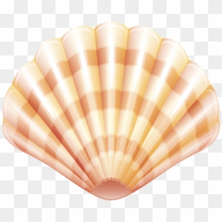Sea Clam Shell Png Clip Art Image - Shell Transparent Png