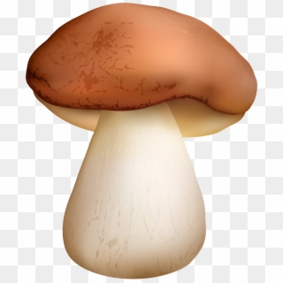 Boletus Mushroom Png Clipart - Boletus Png Transparent Png