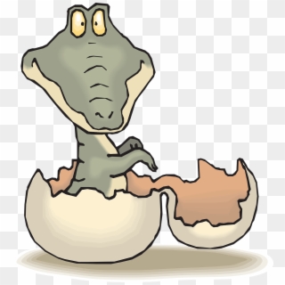 Alligator Hatch Baby Egg Shell Png Image - Crocodile Hatching Clipart Transparent Png