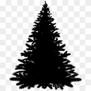 Balsam Fir Tree Silhouette , Png Download - Needle Christmas Tree Svg Clipart
