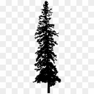 Pine Tree Silhouette - Christmas Tree Clipart