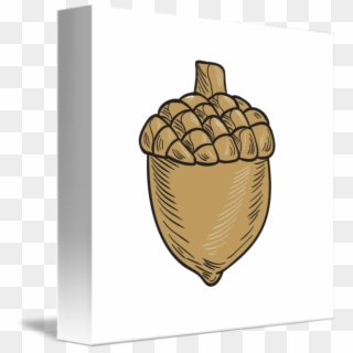 Acorn Drawing - Fast Food Clipart