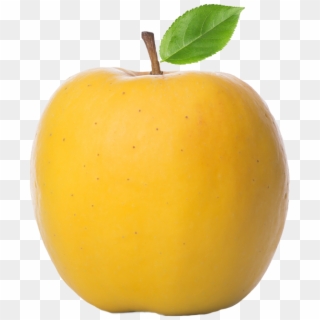 Yellow Transparent Apples For Sale - Yellow Apple Clipart