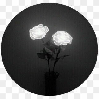 Tumblr Aesthetic Black Roses Rose - Light Tumblr Black And White Clipart
