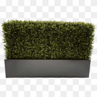 100cm Grey Planter - Hedge Clipart