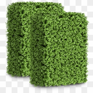 Small Boxwood Artificial Hedge Clipart