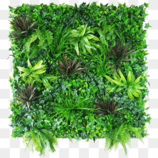 Coastal Greenery Vertical Garden - Vertical Plant Wall Png Clipart