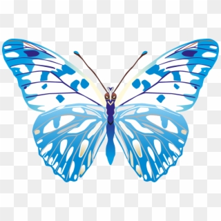 Butterfly Png Images Png - Blue Butterfly Vector Png Clipart