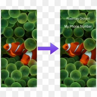 Https - //resources - Rosemaryorchard - Com/images/blog/overlay - Clown Fish Iphone X Clipart