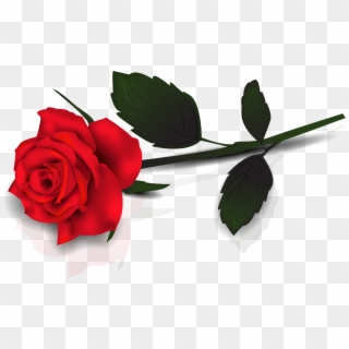 Rose Png - Single Red Rose Clip Art Transparent Png