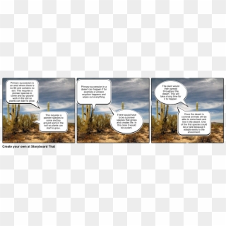 Desert Example Of Primary Succession Clipart