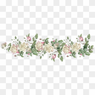 911 X 433 20 - White Roses Border Png Clipart