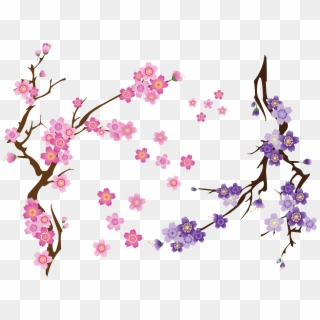 Cherry Blossom Drawing Clip Art - Png Download