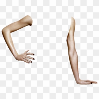 Doll Arms 5 - Arms Png Clipart