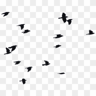 Birds Flying Png Image - Birds Flying Silhouette Png Clipart