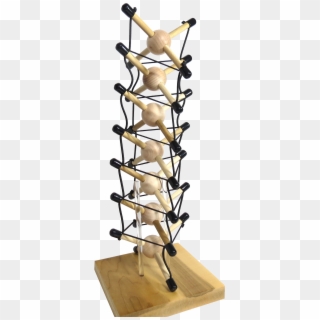 Tensegrity Spine - Wood Clipart