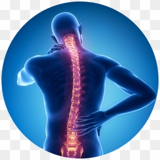 Illustration Of Back In Blue With Spine Highlighted - Laser Spine Surgery Clipart