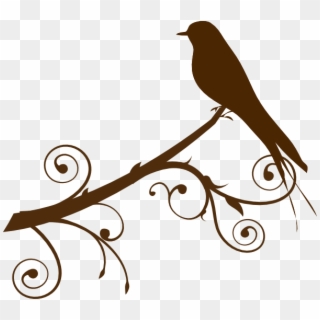 Bird On A Branch Clip Art - Bird On A Branch Outline - Png Download