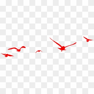 Birds Flying Transprent Png Free - Red Bird Flying Clipart Transparent Png