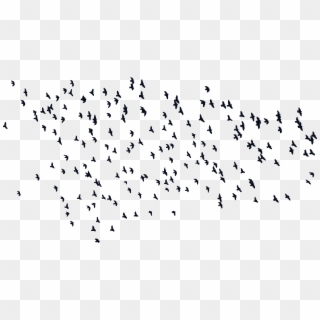 Input Flock Of Birds Silhouette Clipart
