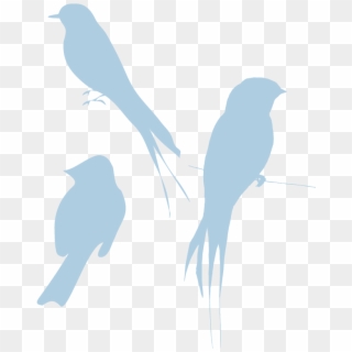 Blue Bird Png - Bird Silhouette Clipart