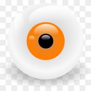 Eyeball Iris Pupil Looking View Png Image - Circle Clipart