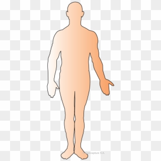 Human Body Outline Png - Human Body Outline Clipart