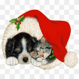 Dog Cat Pet - Christmas Puppy And Kitty Clipart