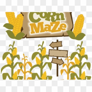 Stalk Clipart Png - Clip Art Corn Maze Transparent Png