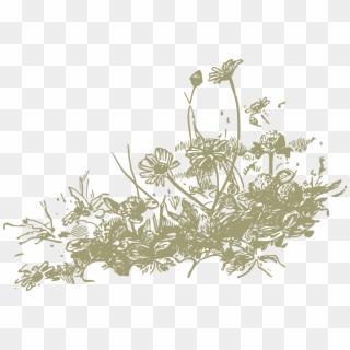 Dainty Flower - Clipart - Wild Flowers Illustration Png Transparent Png