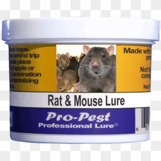 Pro Pest Rat & Mouse Lure Prof 8 Oz Jars 8ct - Groundhog Clipart