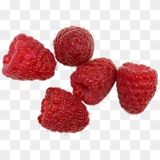Organic Raspberries - Seedless Fruit Clipart