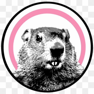 The Groundhog Unveils New Platform For Women - Punxsutawney Phil Clipart